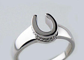 Horseshoe Ring  with a Twist Sterling Silver