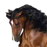 Iberian Horse Pendant Necklace Sterling Silver - Jamies Horse Jewelry