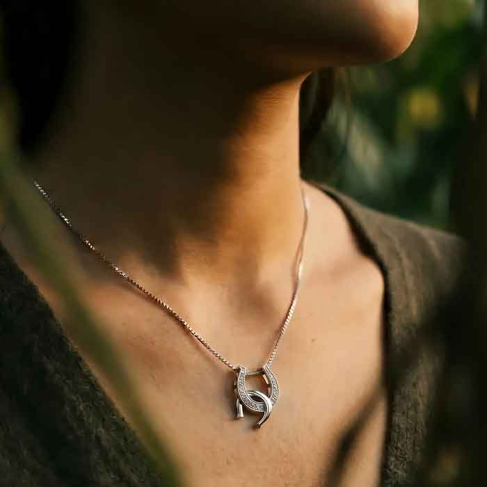 On model CZ Adorned Horseshoe Necklace
