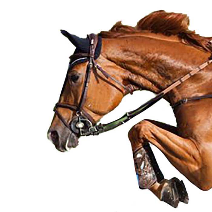big ben jumper horse necklace