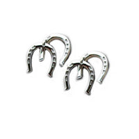 Double Horseshoe Earrings